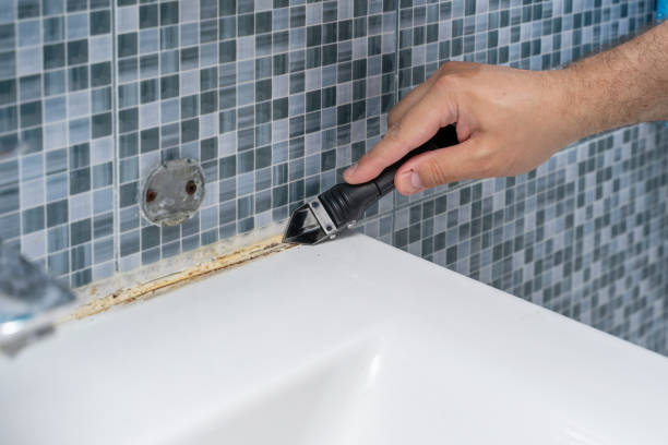 Certified Mold Removal in Beecher, IL